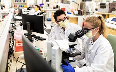 Students looking in a microscope during their clinical rotation.