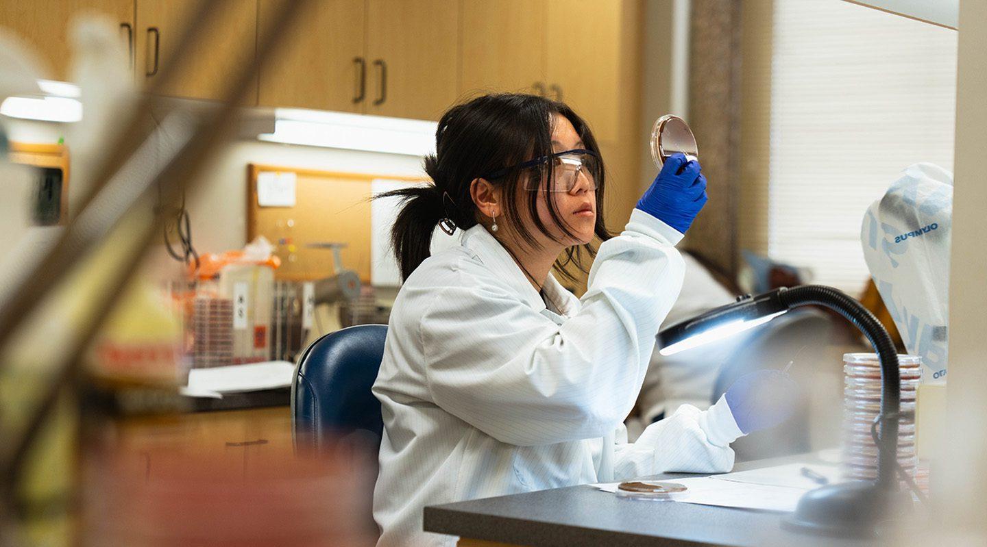 Woman scientist looking at collected sample